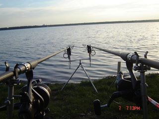 Tincabesti